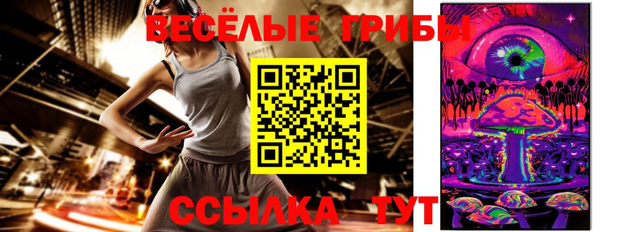 Галлюциногенные грибы Psilocybe  Вход с VPN  дарнет шоп  Междуреченск 