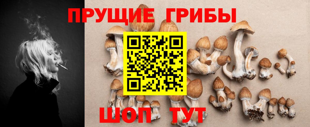 Псилоцибиновые грибы ЛСД Междуреченск